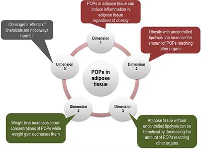 Persistent Organic Pollutants and Type 2 Diabetes: A Critical Review of Review Articles